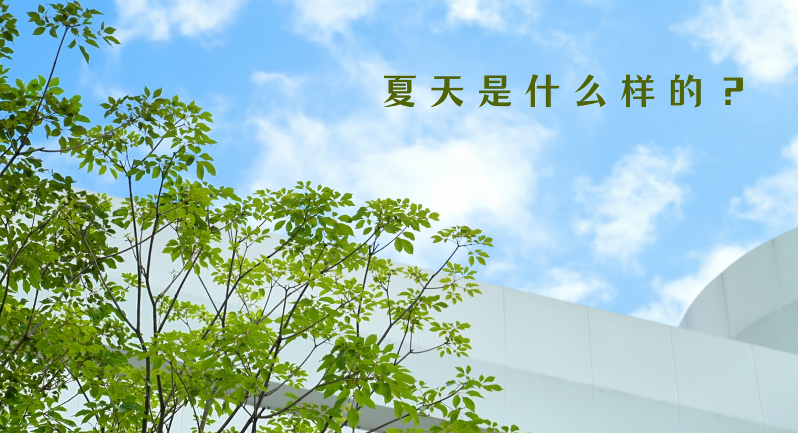 中学部夏令营回顾